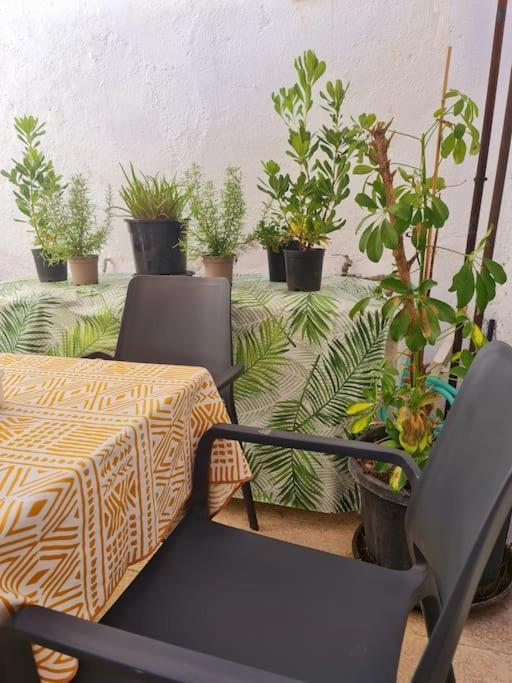 גרנדה Estancia De Ensueno Y Relax Parking Gratuito מראה חיצוני תמונה