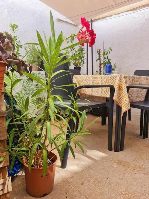 גרנדה Estancia De Ensueno Y Relax Parking Gratuito מראה חיצוני תמונה