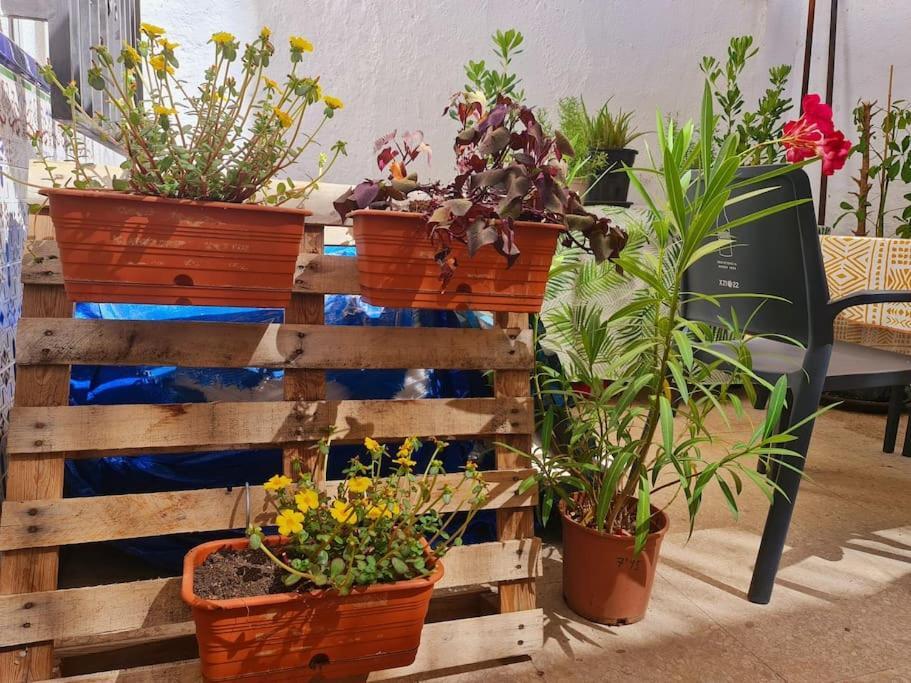 גרנדה Estancia De Ensueno Y Relax Parking Gratuito מראה חיצוני תמונה